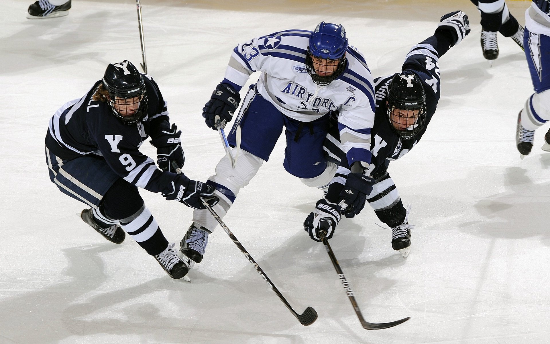 数据革命与战术铁幕，莱奥全面爆发背后的加拿大式体系压制