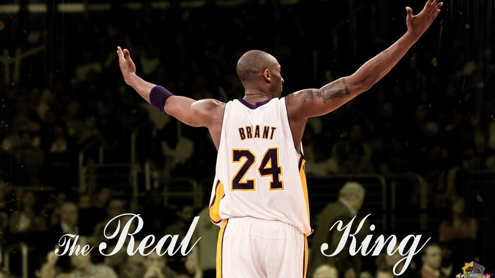 赛道上的宿命对决,阿隆索火热状态引领迈凯伦鏖战索伯车队